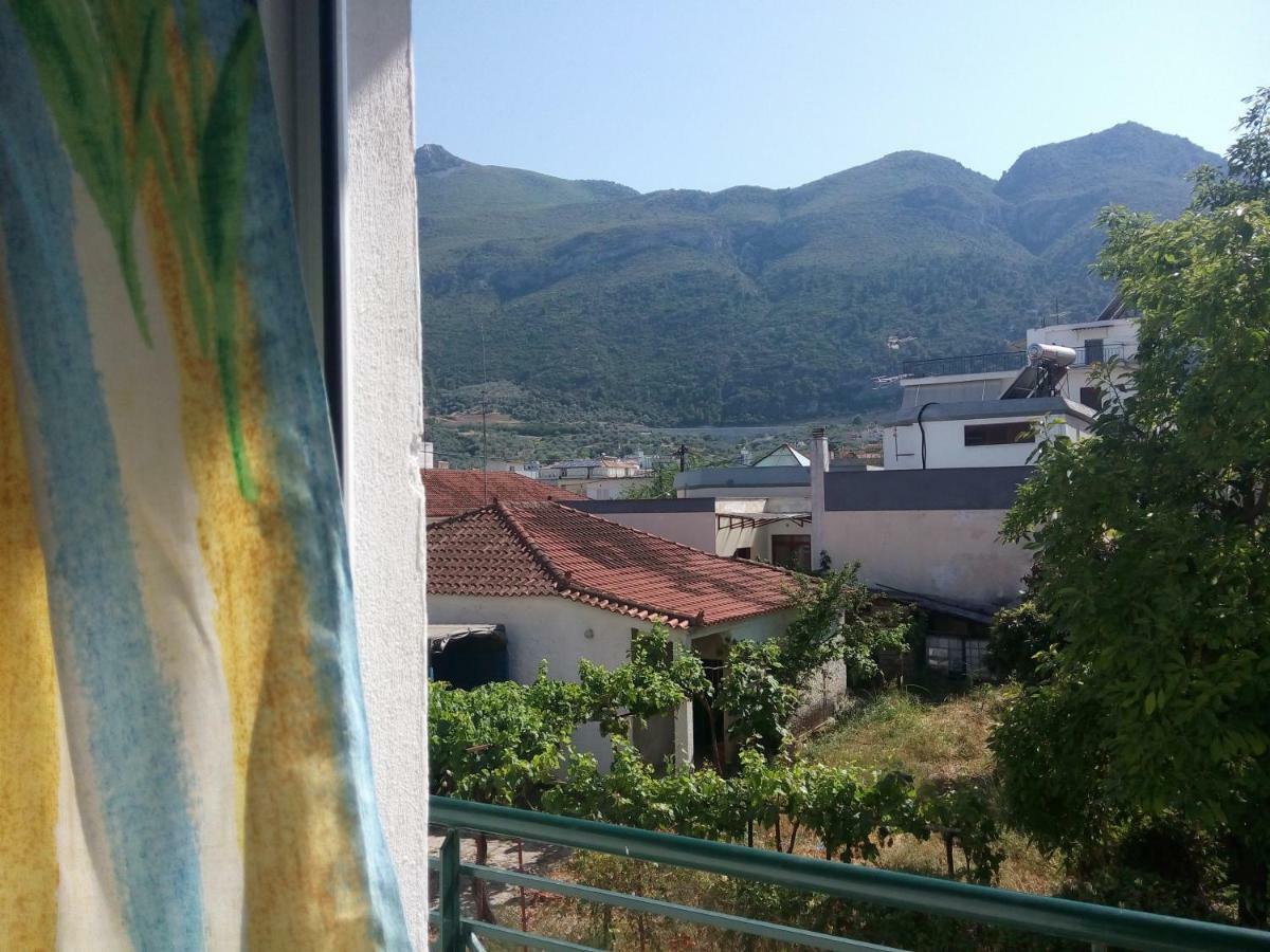 Anastasia - Efthimios Apartments Agios Konstantinos  エクステリア 写真