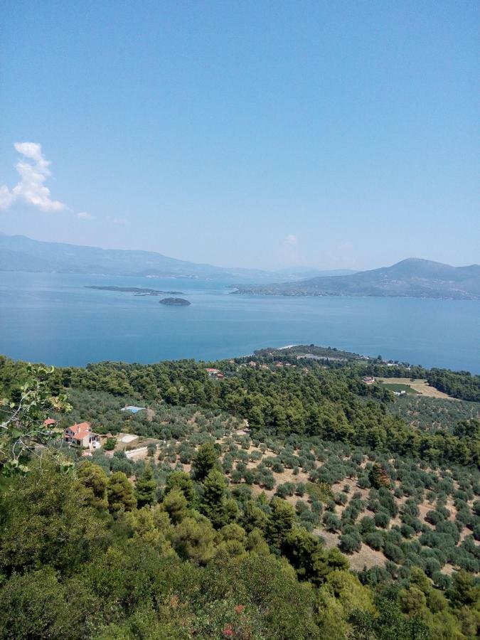 Anastasia - Efthimios Apartments Agios Konstantinos  エクステリア 写真